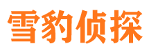 宝兴寻人公司